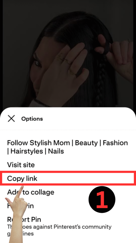 Baixar video pinterest